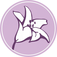 Academia del Suspiro Dominicano